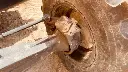 770 EX MAGNUM (1).webp