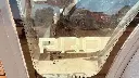 770 EX MAGNUM (3).webp
